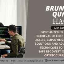 BRUNOE QUICK HACK: BEST CRYPTOCURRENSY REVCOVERY COMPANY