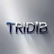 Tridib Borah