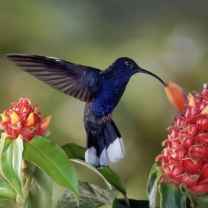 digitaloneindia portal