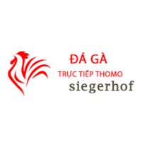 Đá Gà Trực Tiếp Thomo Hôm Nay