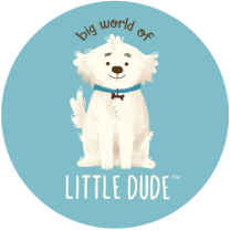 Big World of Little Dude