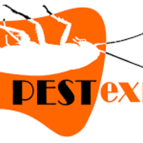 Pest Express