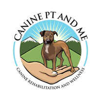 CCL Tear in Dogs