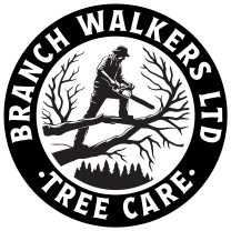 Tree Surgeon Sheffield