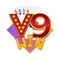 V9WIN