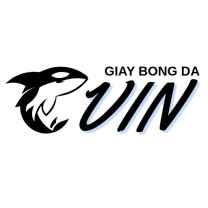 giaybongdavin
