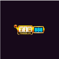 Tin88
