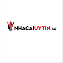 nhacaiuytin so