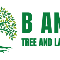 Reliable Tree Surgeon Northampton