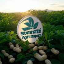 Somnath Agri Impex