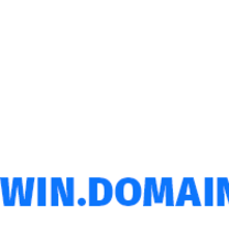 R WIN