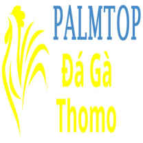 dagapalmtop