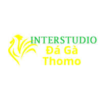  Đá Gà Trực Tiếp Thomo