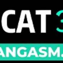 cat368