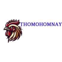 Thomo Hôm Nay