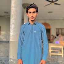 Tanveer Habib