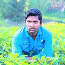 md Parvaj