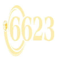6623