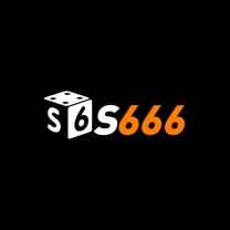 s666accountant