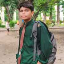 Article Writer Ridoy