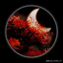Sadia