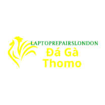 Đá Gà Trực Tiếp Thomo