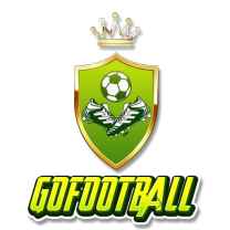 gofootballtogo