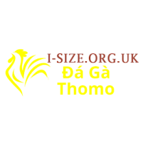 Đá Gà Trực Tiếp Thomo