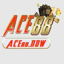 ace88