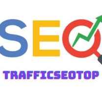 Traffic user