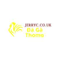 Đá Gà Trực Tiếp Thomo