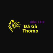 Đá Gà Trực Tiếp Thomo
