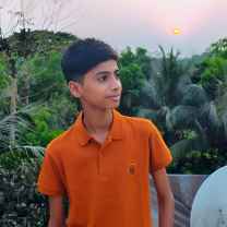 Hasnat Habib