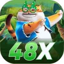 48x