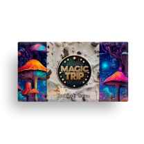 Magic Trip