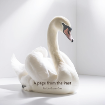 A page from the Past