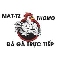 XEM ĐÁ GÀ TRỰC TIẾP
