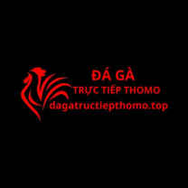 Đá gà trực tiếp thomo