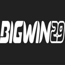 bigwin 29