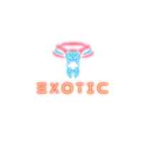 Exotic Super Car Rental