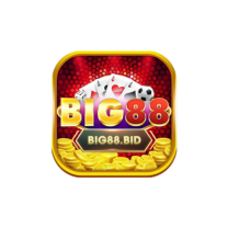 BIG88