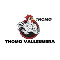 TRỰC TIẾP ĐÁ GÀ THOMO HÔM NAY