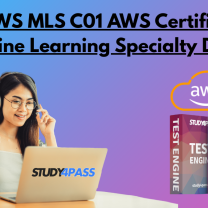 AWS Pass