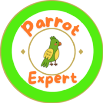 parrotsexpert