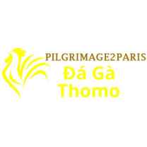  Đá Gà Trực Tiếp Thomo
