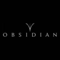 Obsidian Needles