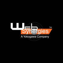 Web Synergies