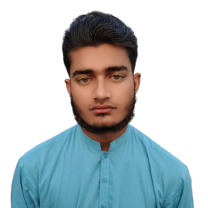 Hasnain Sanmal SEO