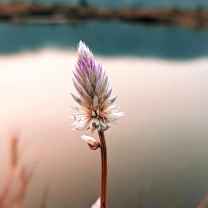 How do I contact Quicken support? | Vocal