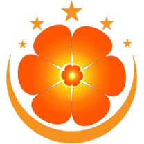 shophoatuoidanangvn